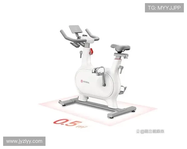 认识各种健身器材从基础到进阶