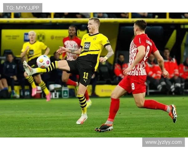 德甲球队拥有者：揭秘德甲俱乐部的拥有者与股东背景