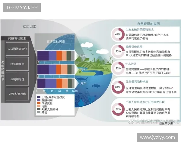 法甲战术布局的多样性及发展趋势